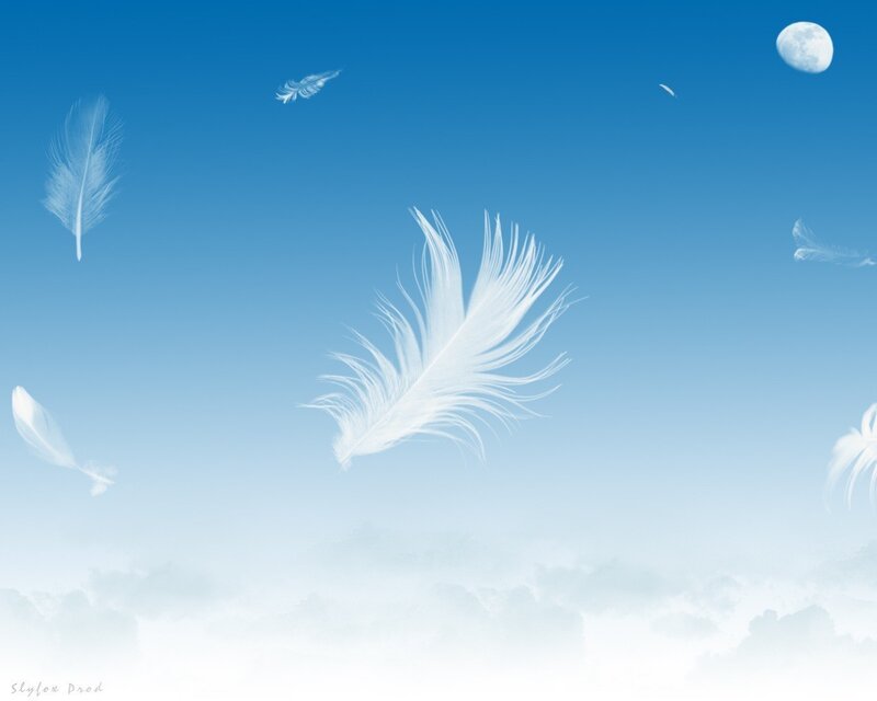 White feathers floating in the sky