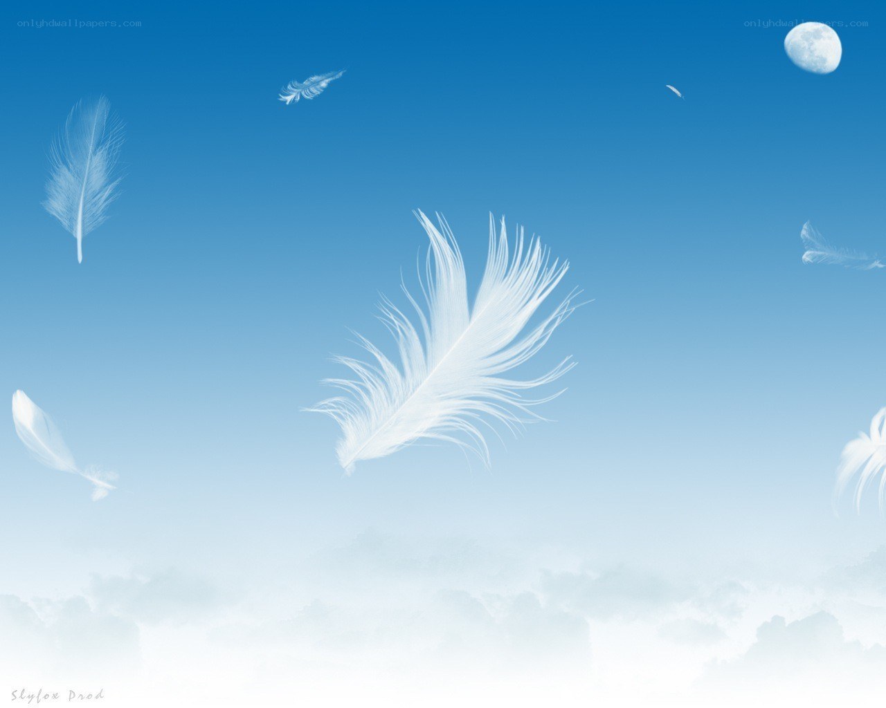 White feathers floating in the sky
