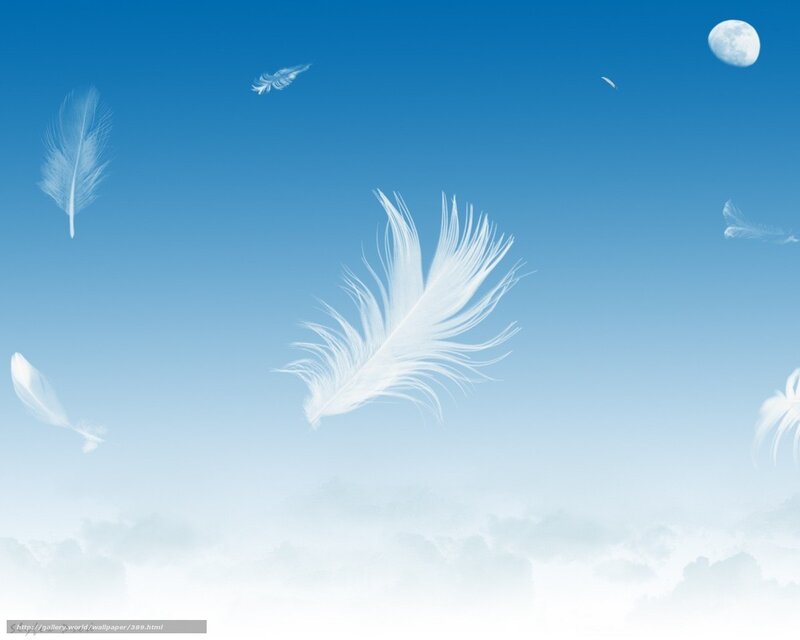 White feathers floating in the sky