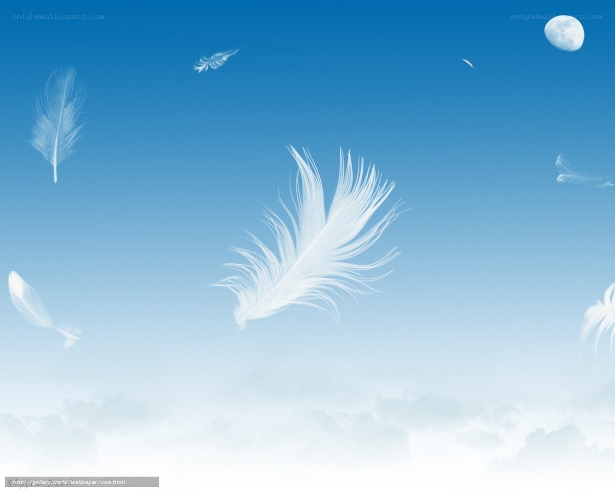 White feathers floating in the sky