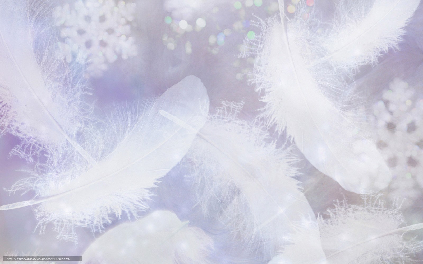white feathers floating