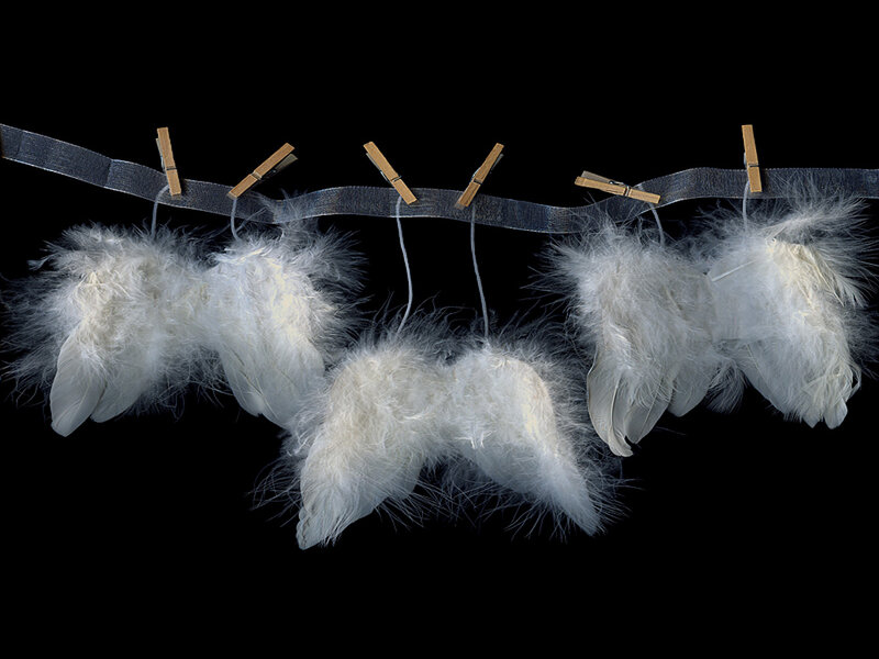 White Feathers on Clothesline