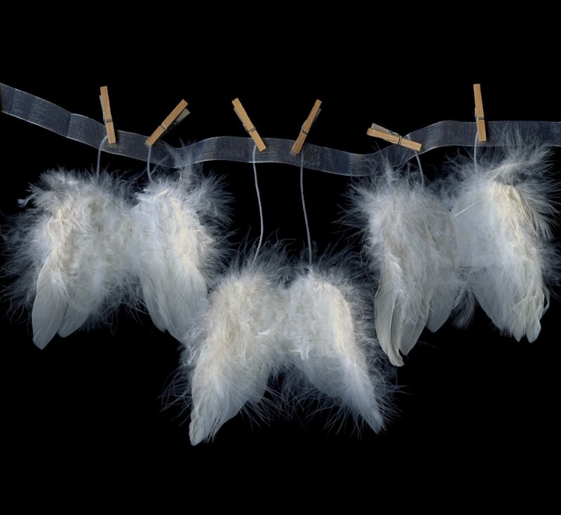 White Feathers on Ribbon