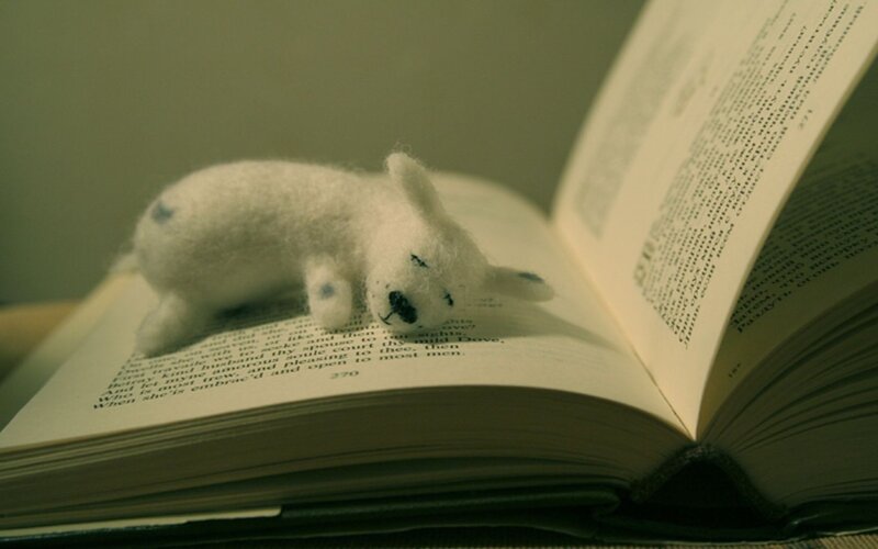 White Felt Animal on Book
