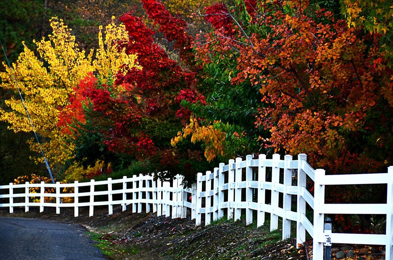 White Fence and Autumn Trees
