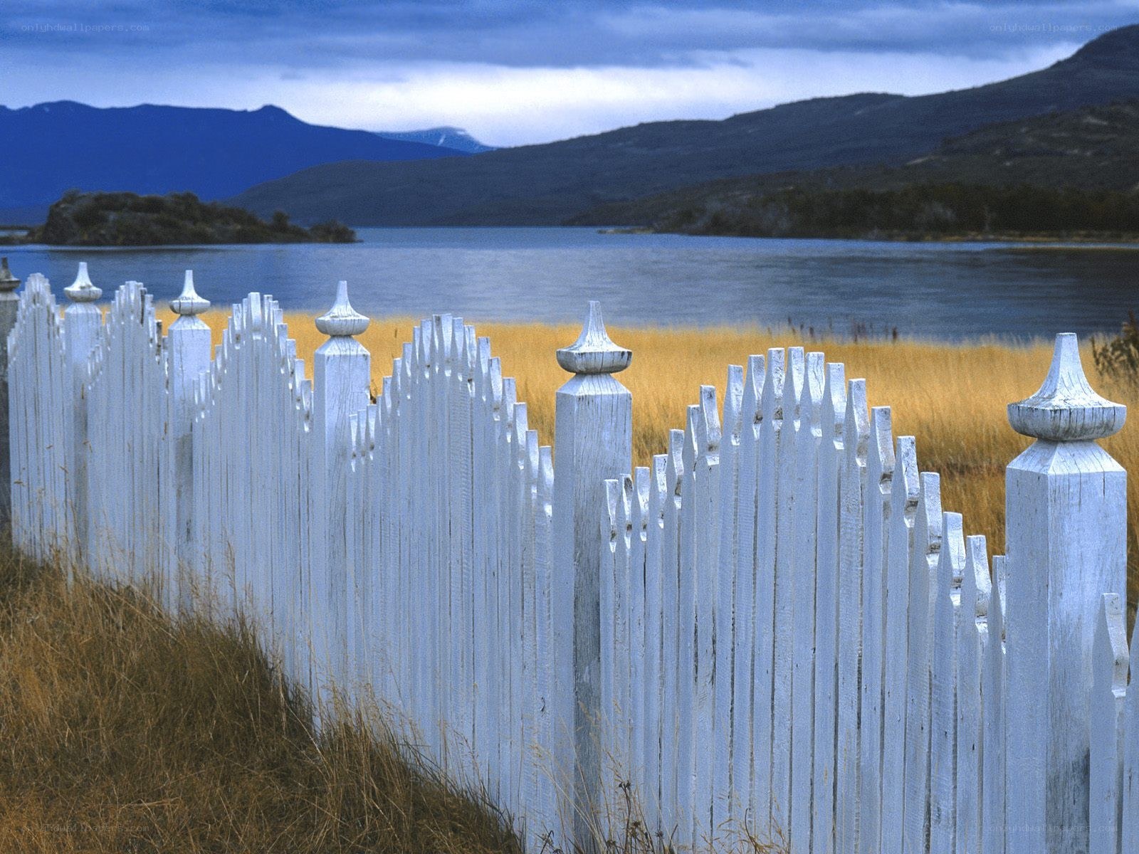 White fence by a lake