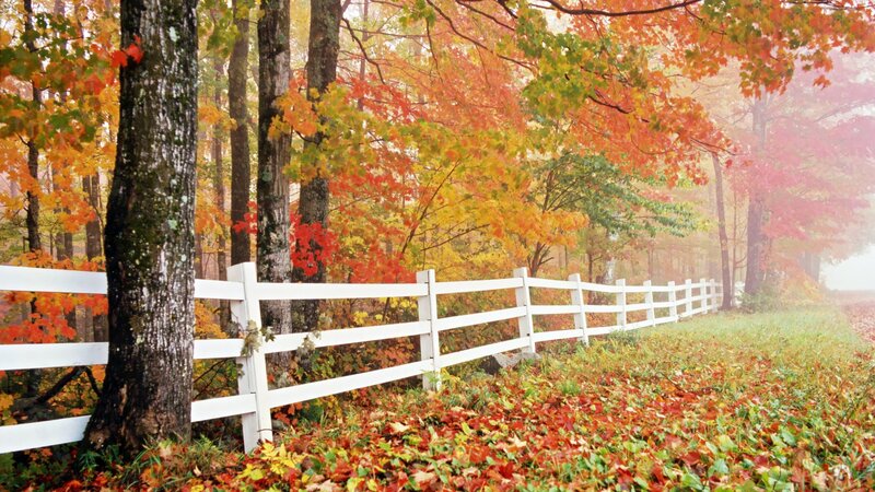 White Fence in Autumn — Red, Serene