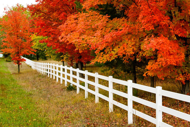 White Fence in Autumn — Red