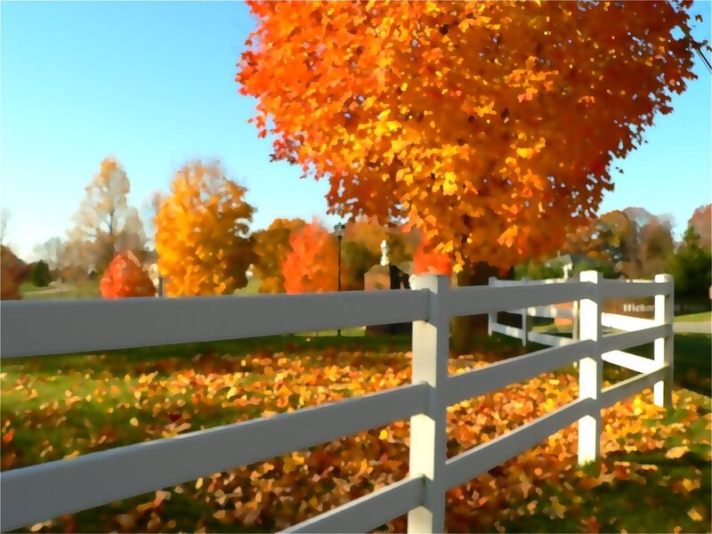 White Fence in Autumn