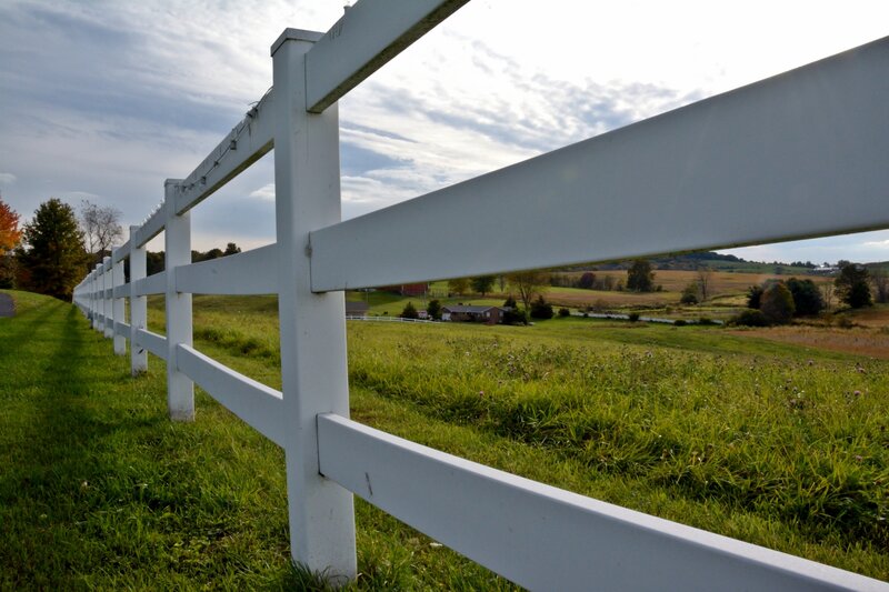 White Fence in Field — Green, Serene, Autumn, Photograph