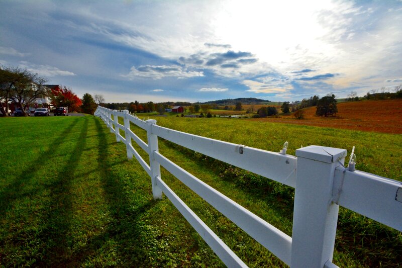 White Fence in Field — Green, Serene
