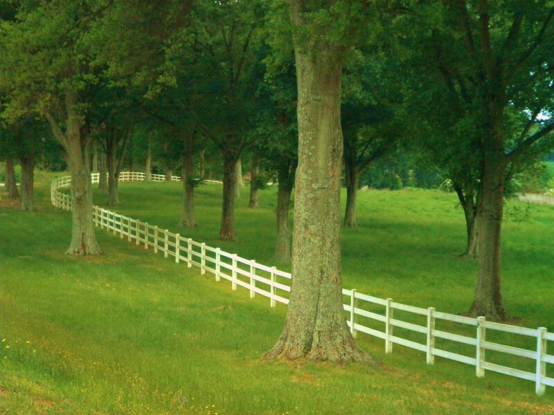 White Fence in Field — Green