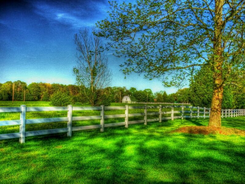White Fence in Field
