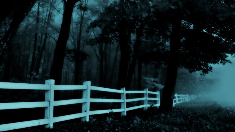 White Fence in Forest — Blue