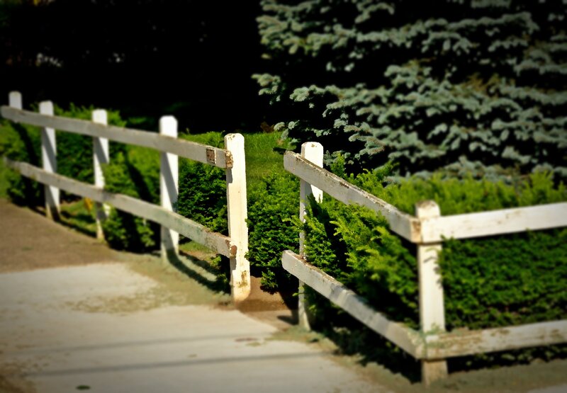 White Fence in Garden