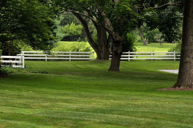 White Fence in Grassy Yard