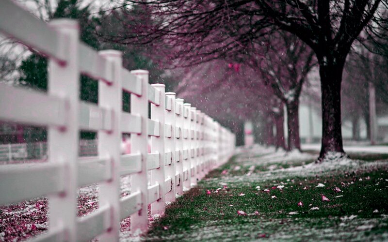 White Fence in Snow