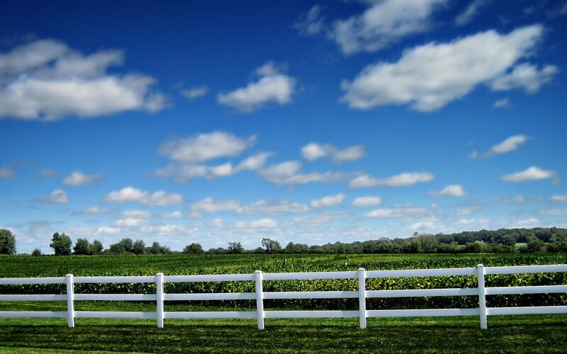 White fence on a sunny day