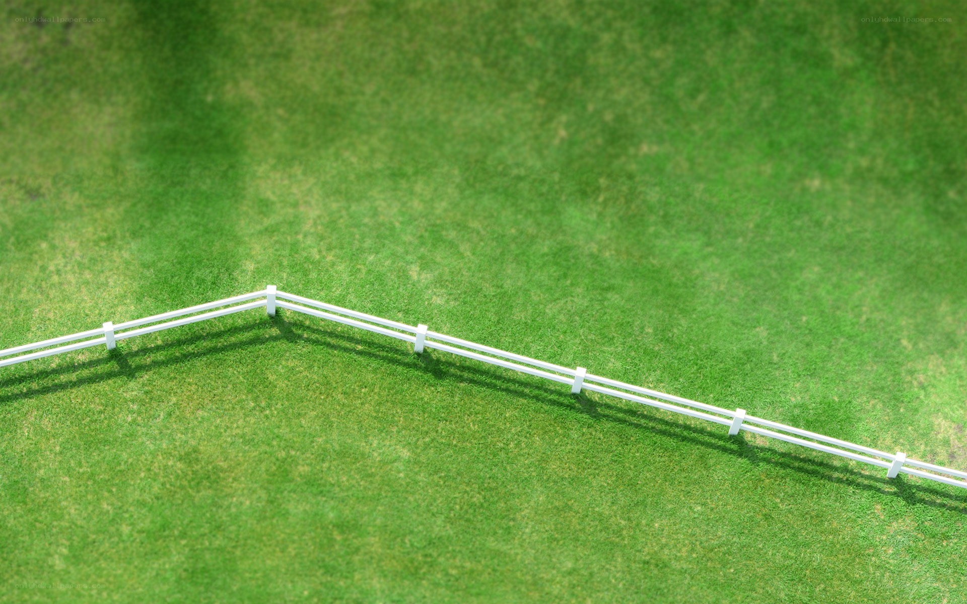 white fence on green grass