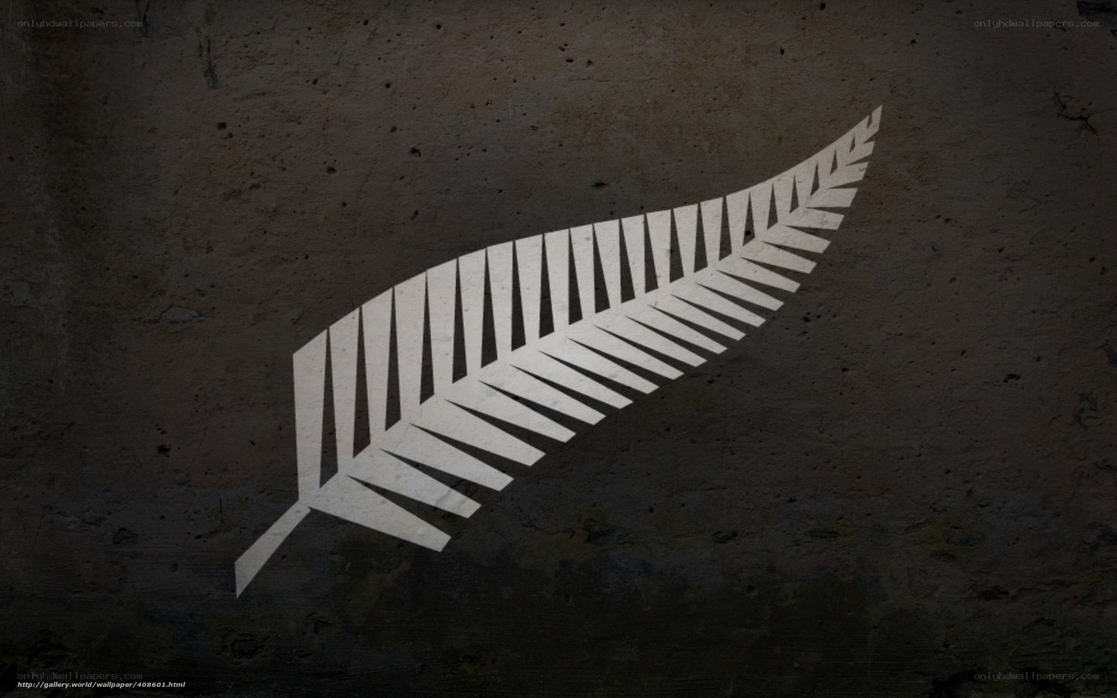 White fern on dark wall