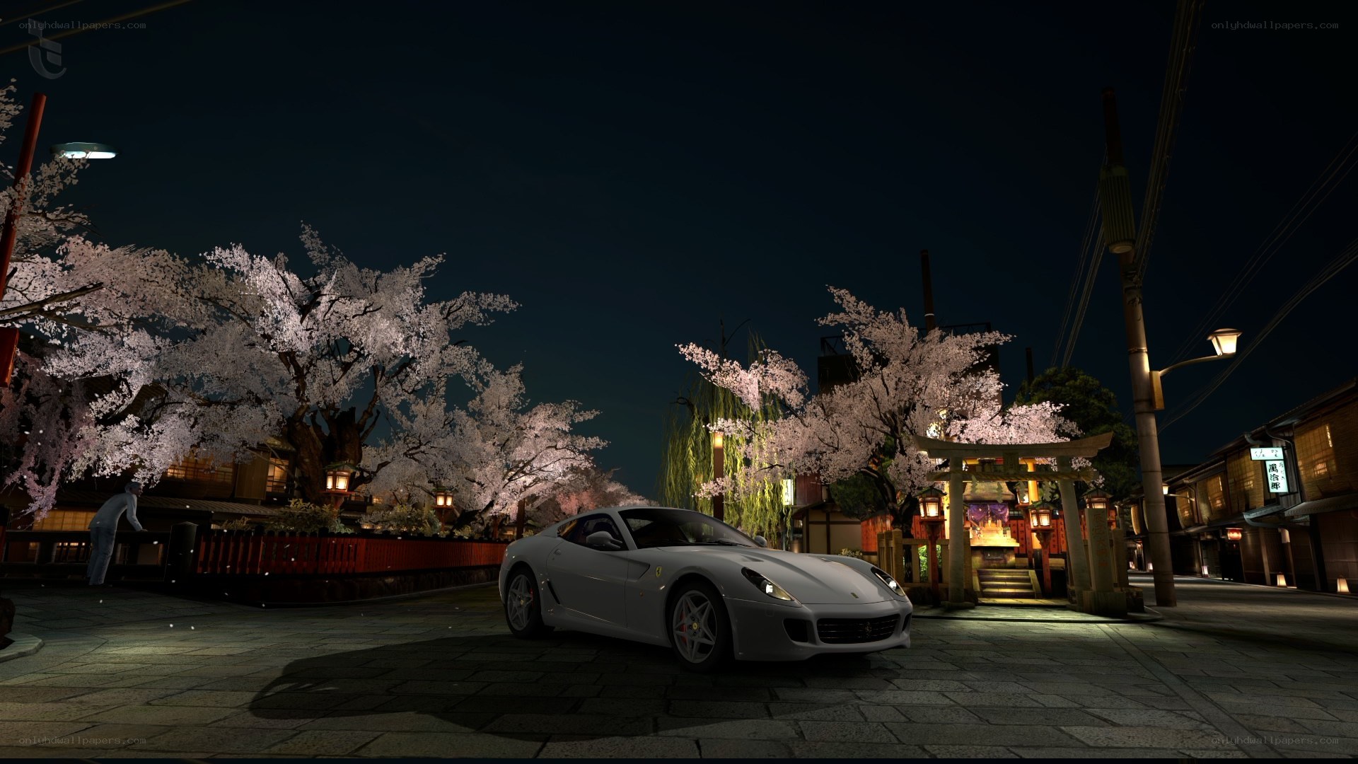 White Ferrari at night with cherry blossoms