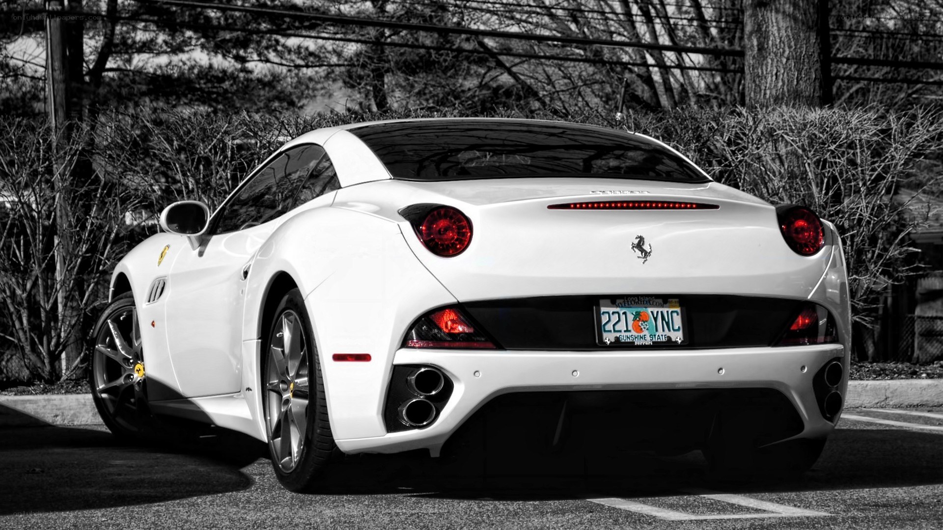 white ferrari car rear view