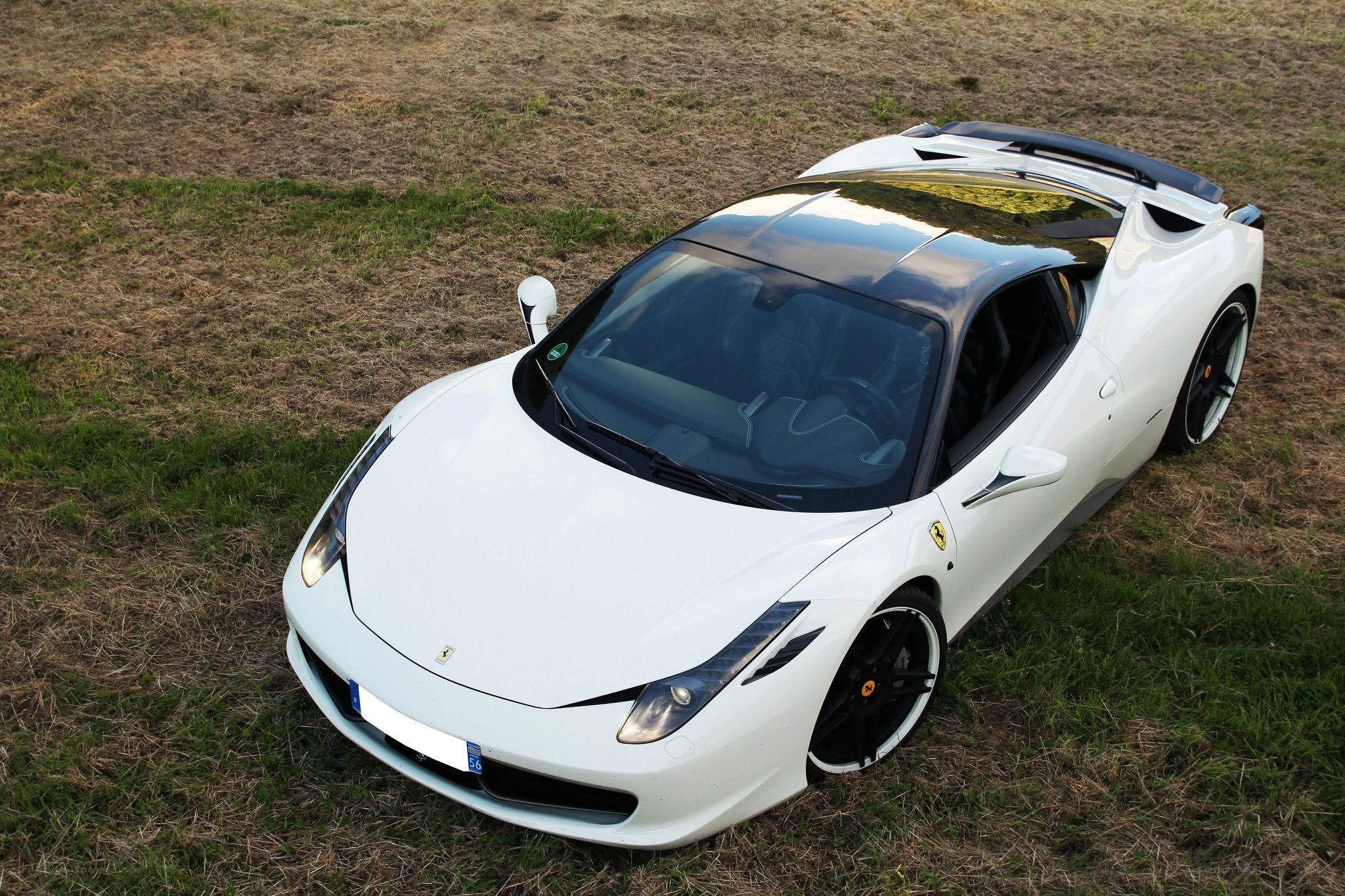 White Ferrari in a field