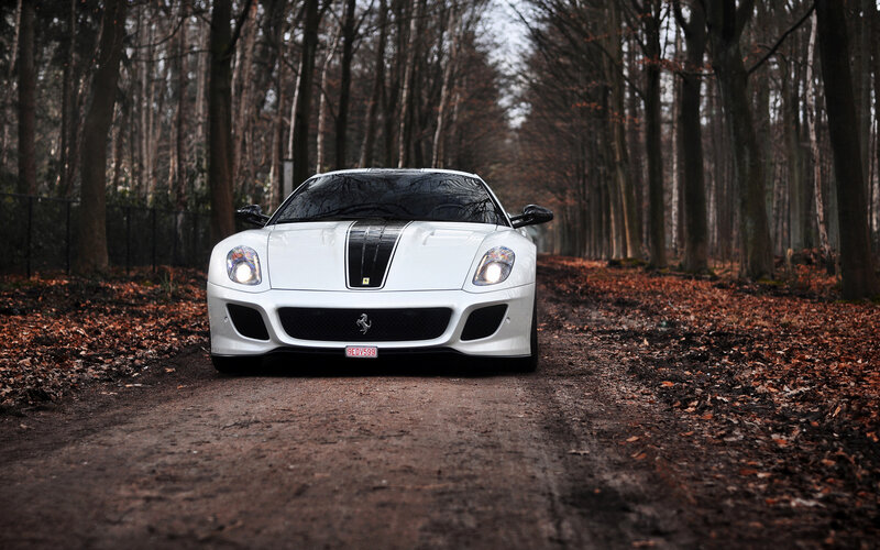 White Ferrari in Forest — Serene, Autumn
