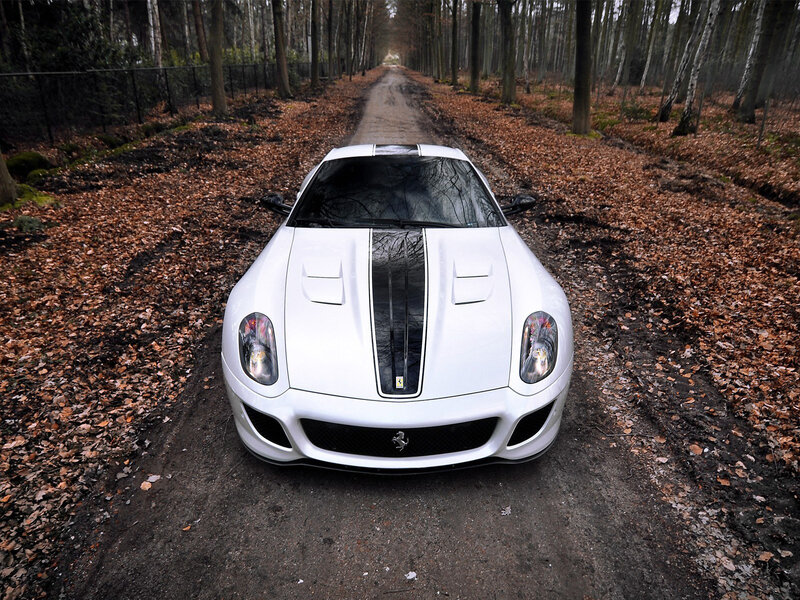 White Ferrari in Forest — Serene