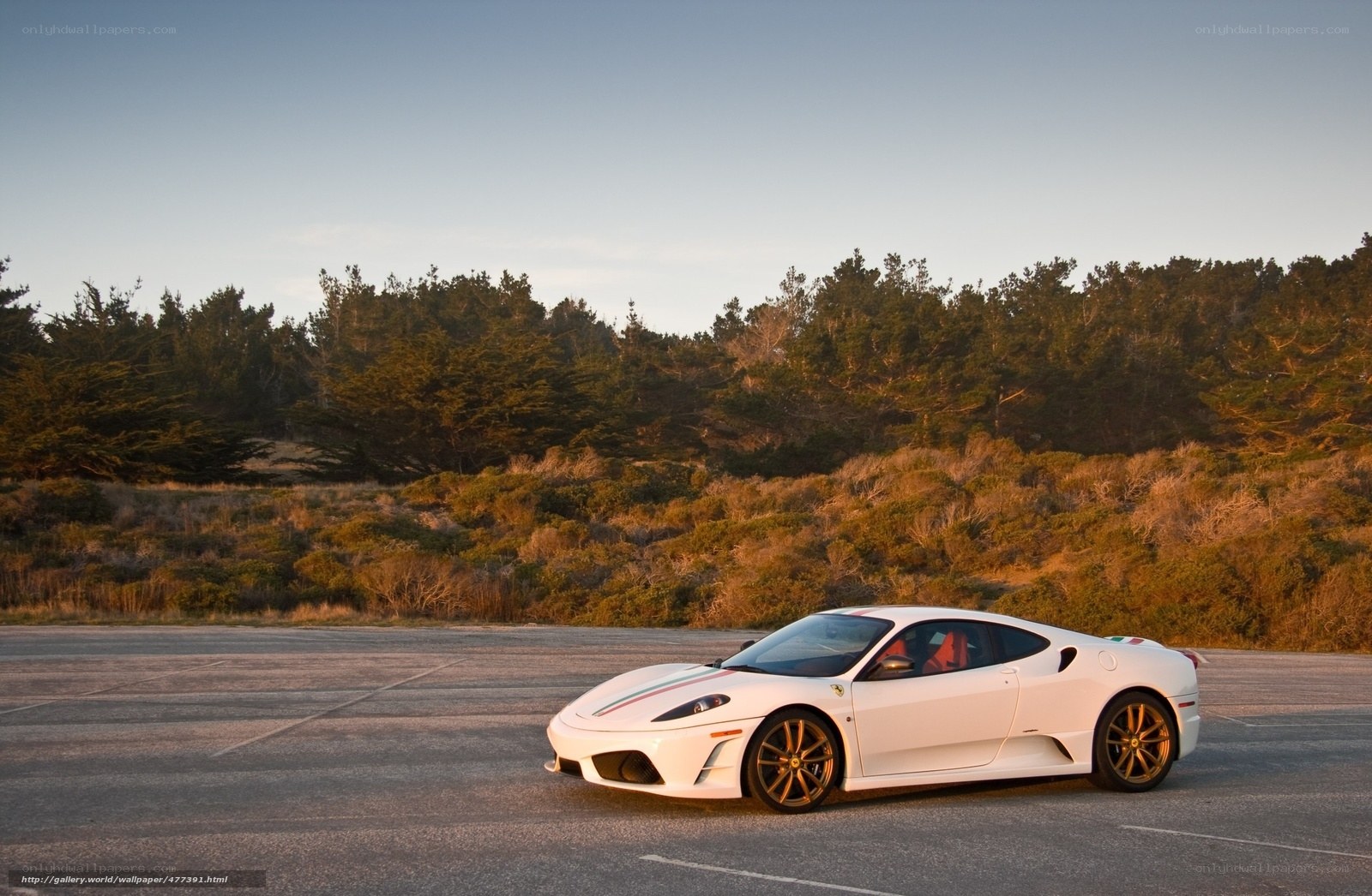 White Ferrari in parking lot