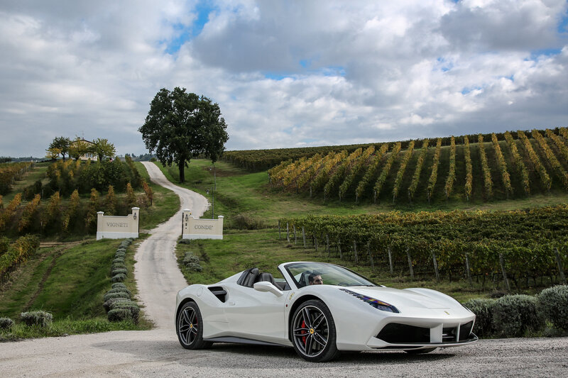 White Ferrari in vineyard