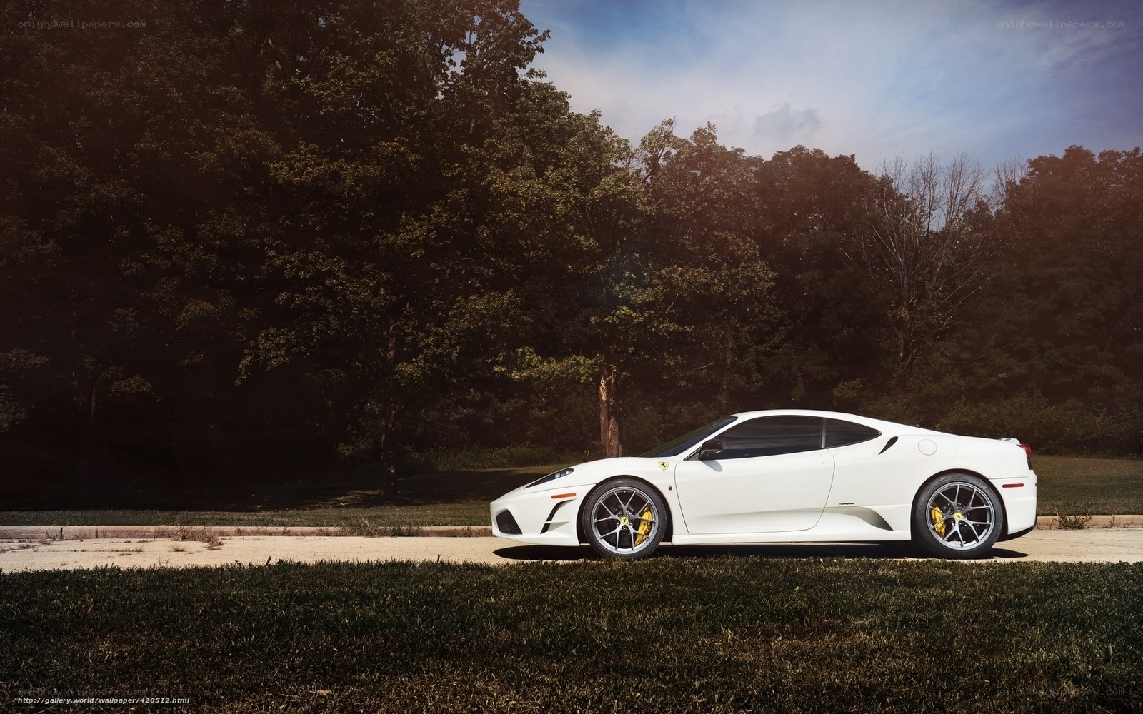 White Ferrari on a road
