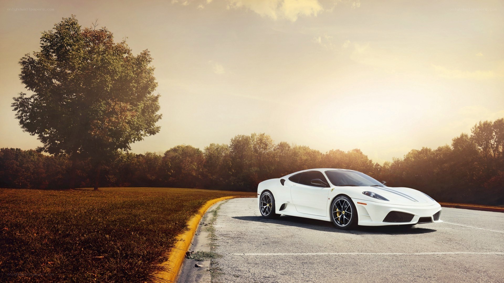 White Ferrari on a road