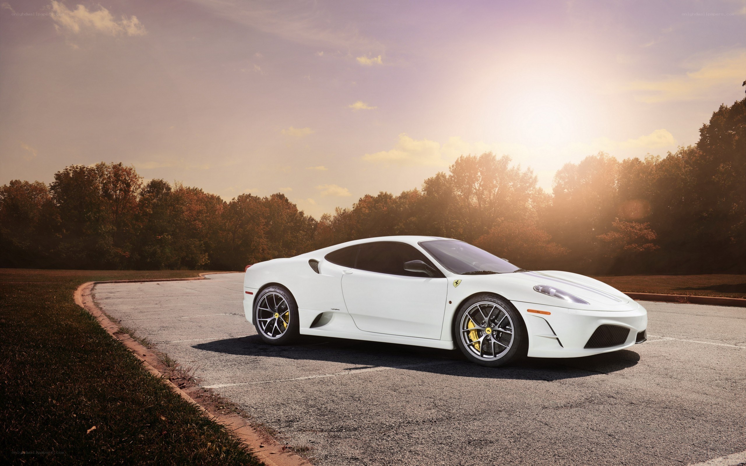 White Ferrari on a road