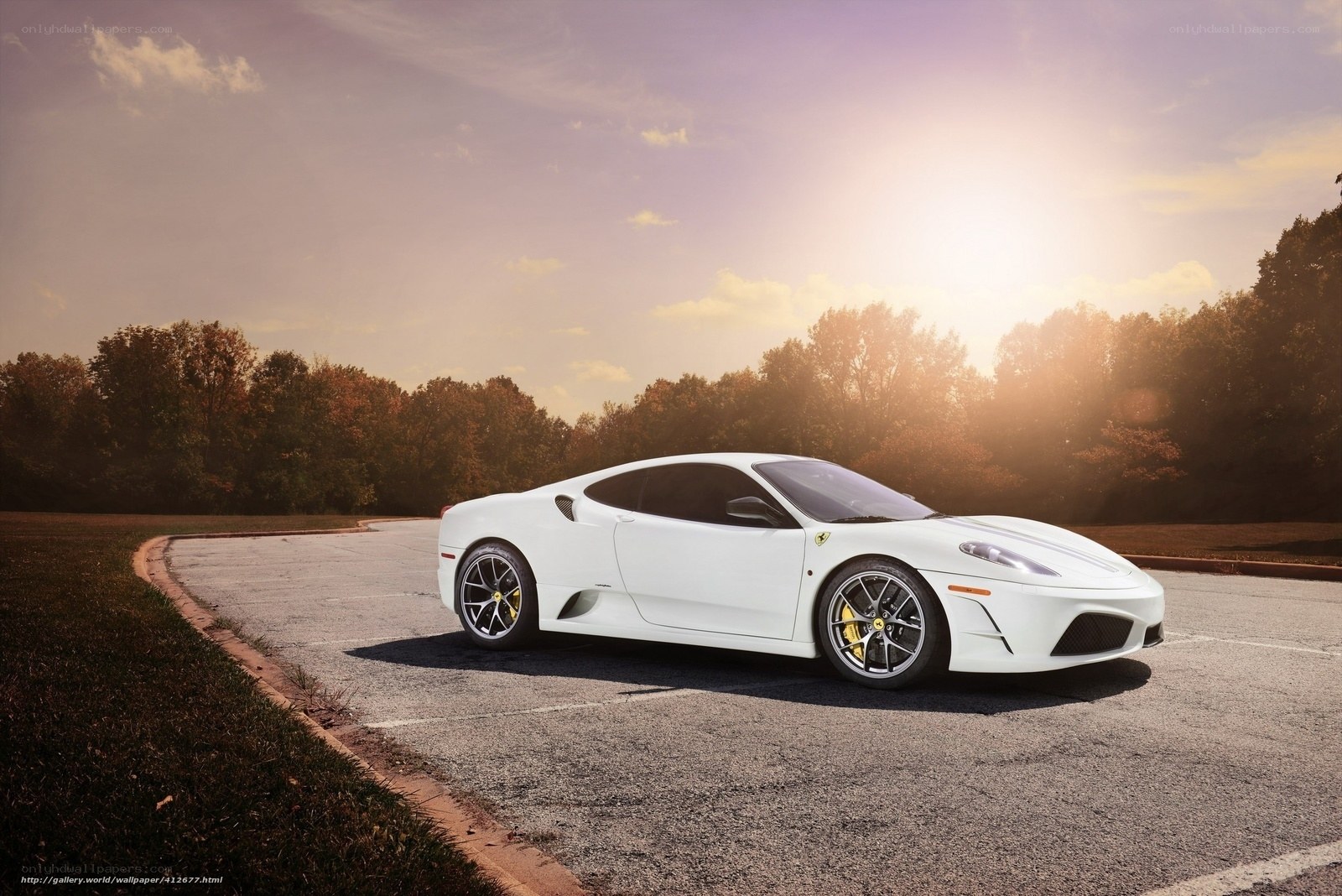 White Ferrari on a road