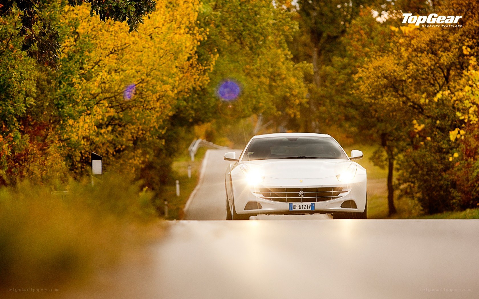 White Ferrari on autumn road