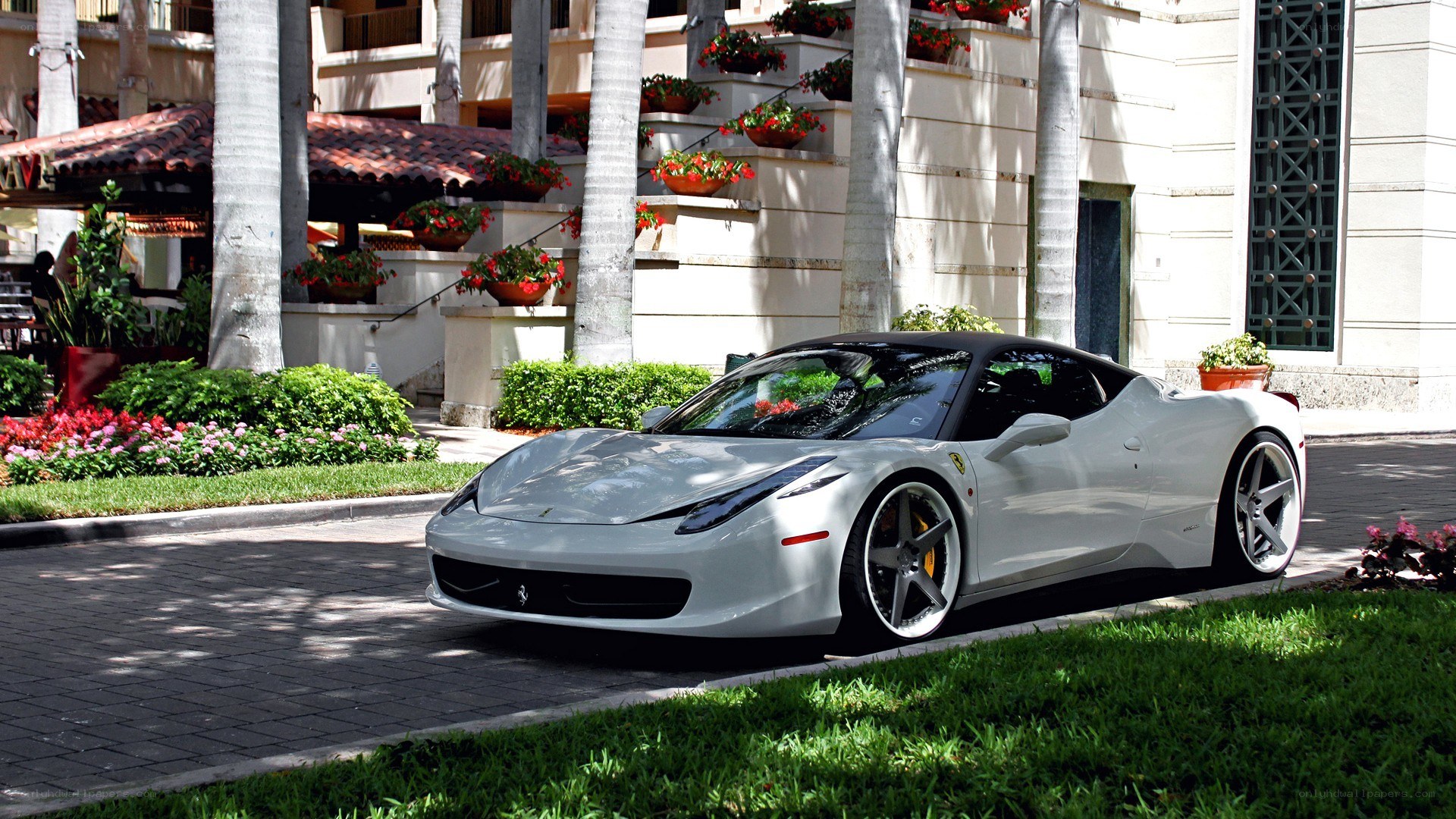 White Ferrari parked on a street