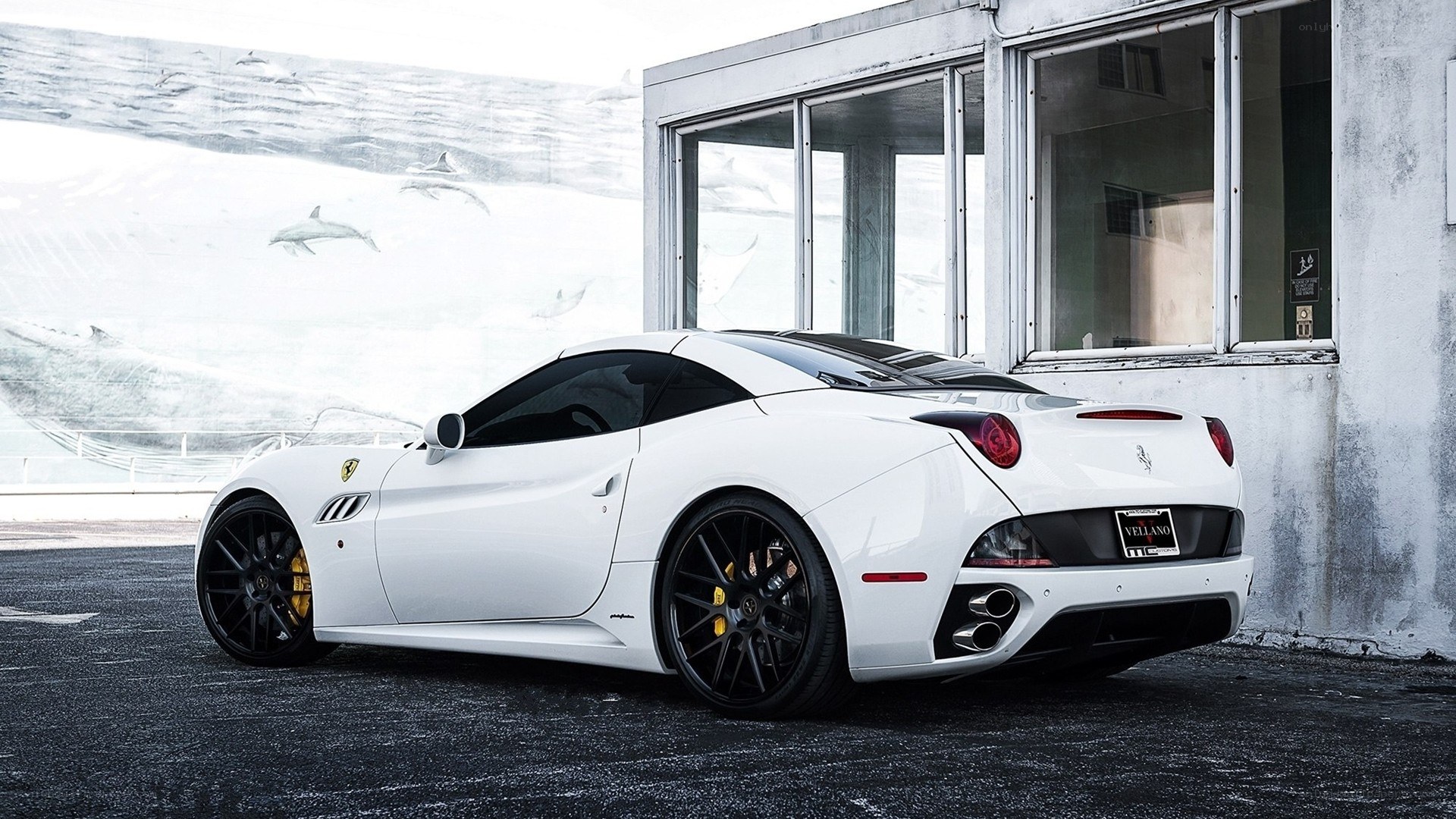 White Ferrari parked outside