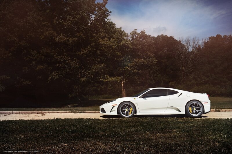 White Ferrari Sports Car — Dramatic, Afternoon, Photograph, Trees