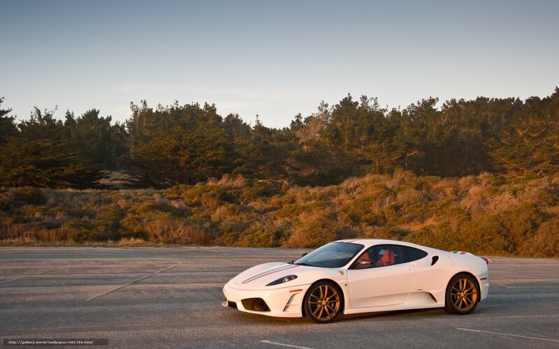 White Ferrari Sports Car — Serene, Sunset, Photograph, Trees