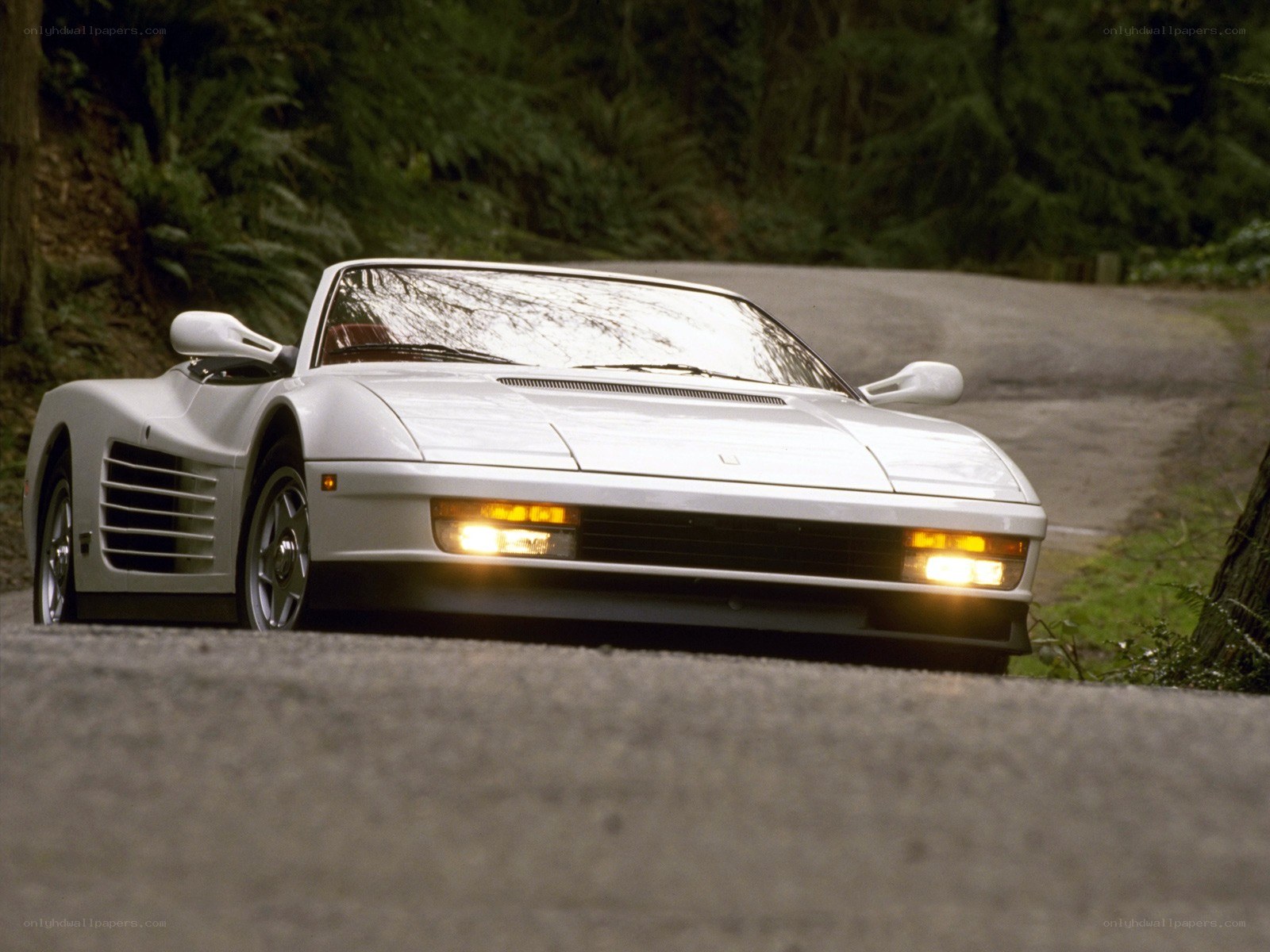 white ferrari testarossa on road