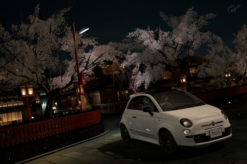 White Fiat 500 under cherry blossoms