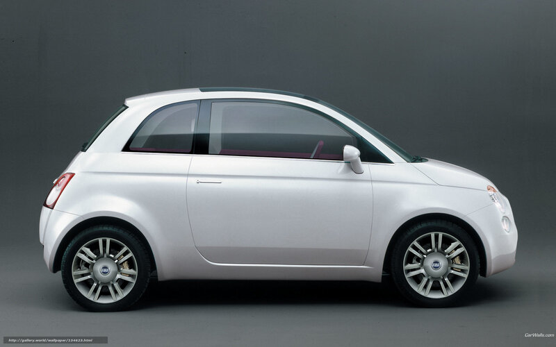 White Fiat Car — Silver