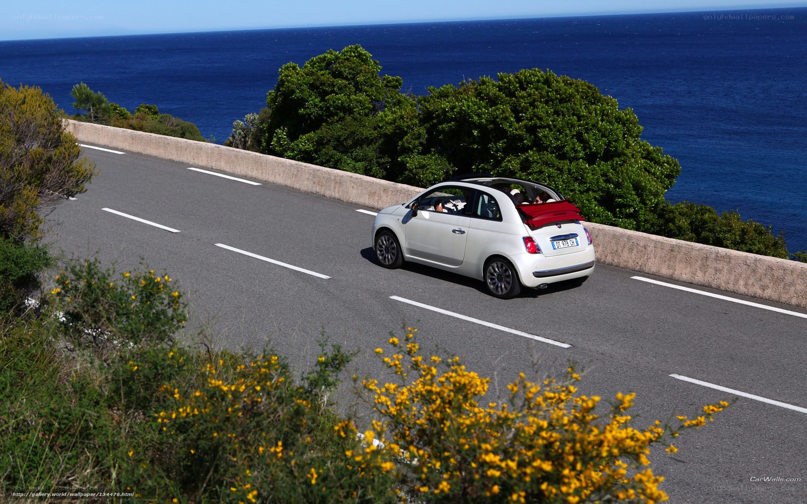 White Fiat on coastal road