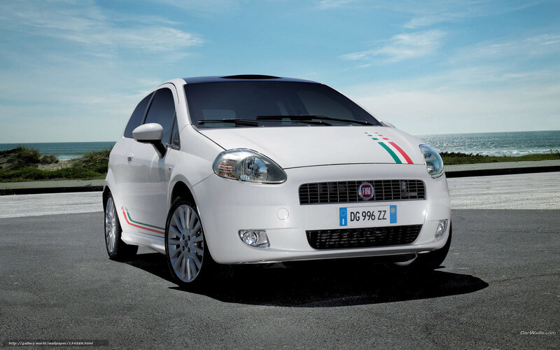 White Fiat Punto parked by the sea
