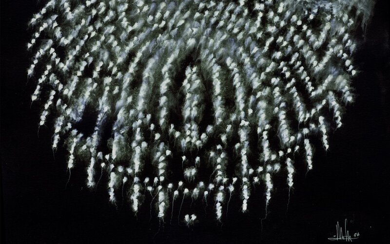 White Fireworks Display — Black