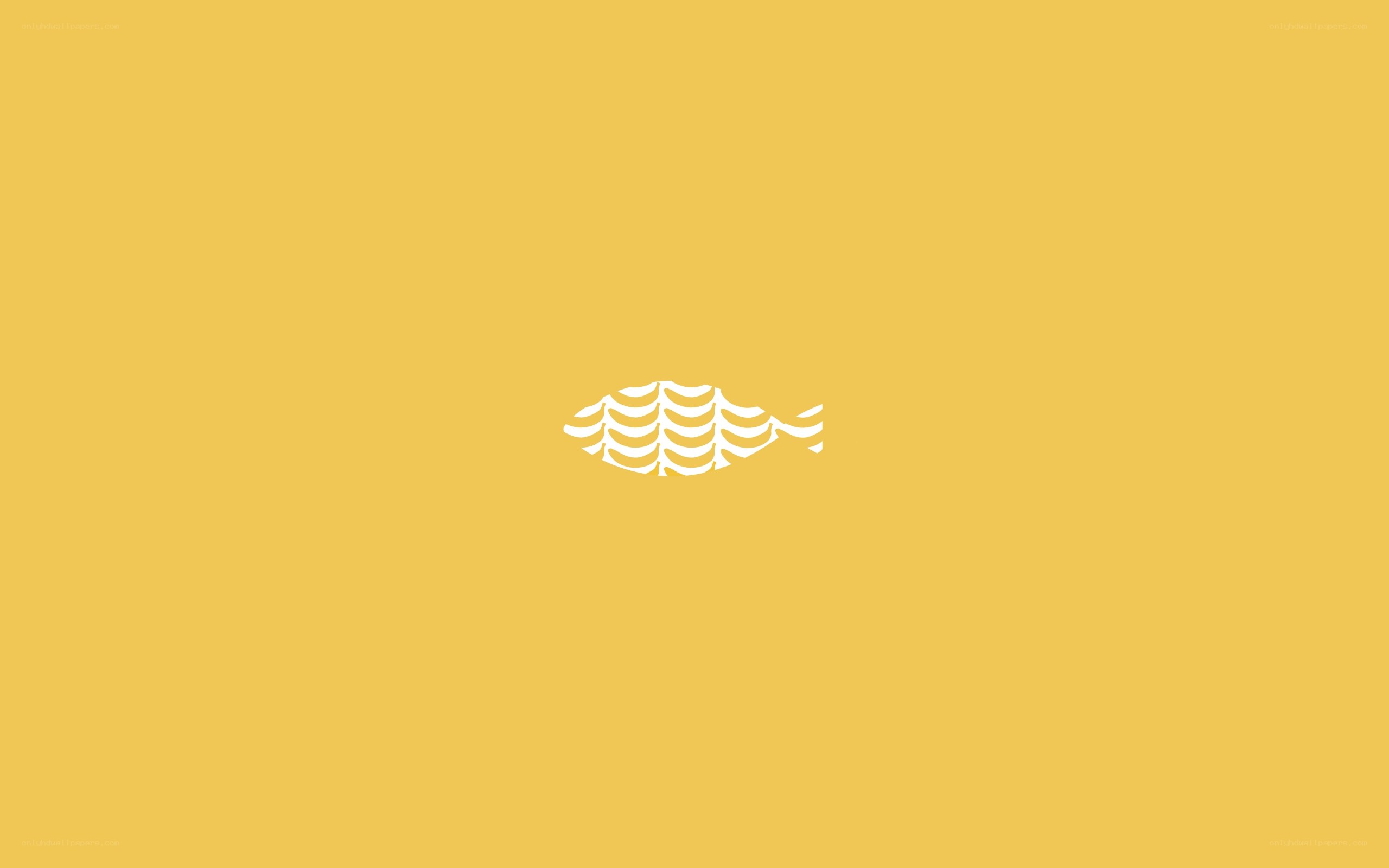 white fish icon on yellow