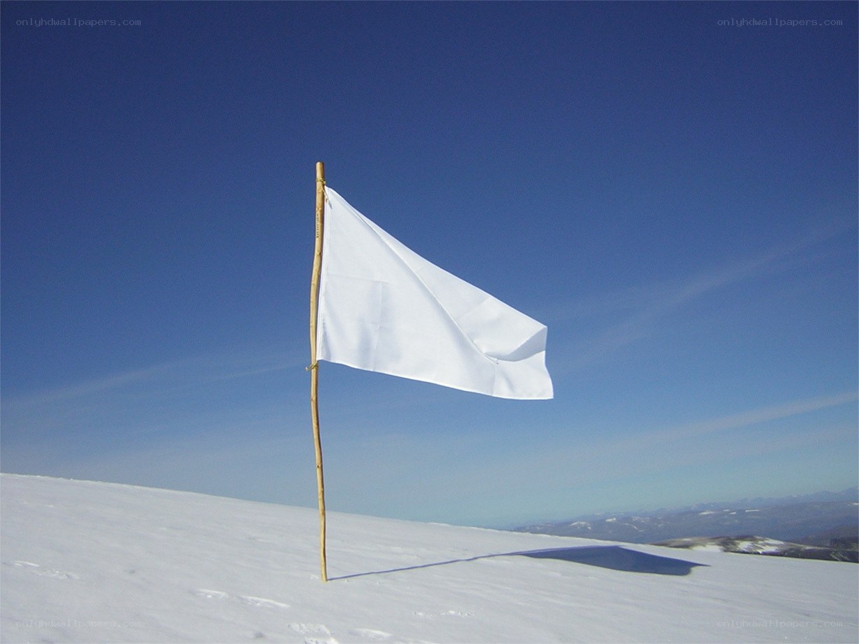 White flag on snowy peak