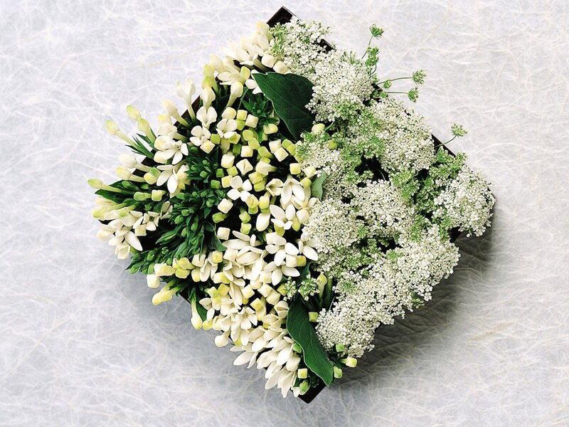 white floral arrangement