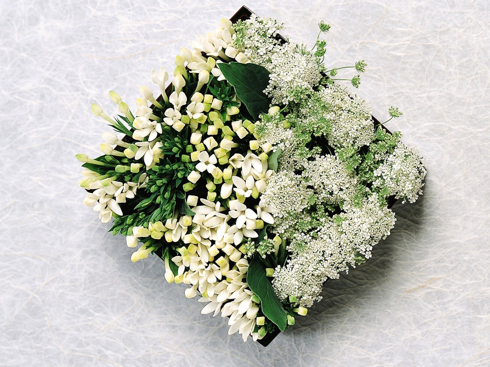 white floral arrangement